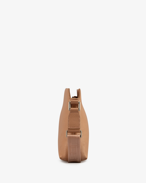 Apricot